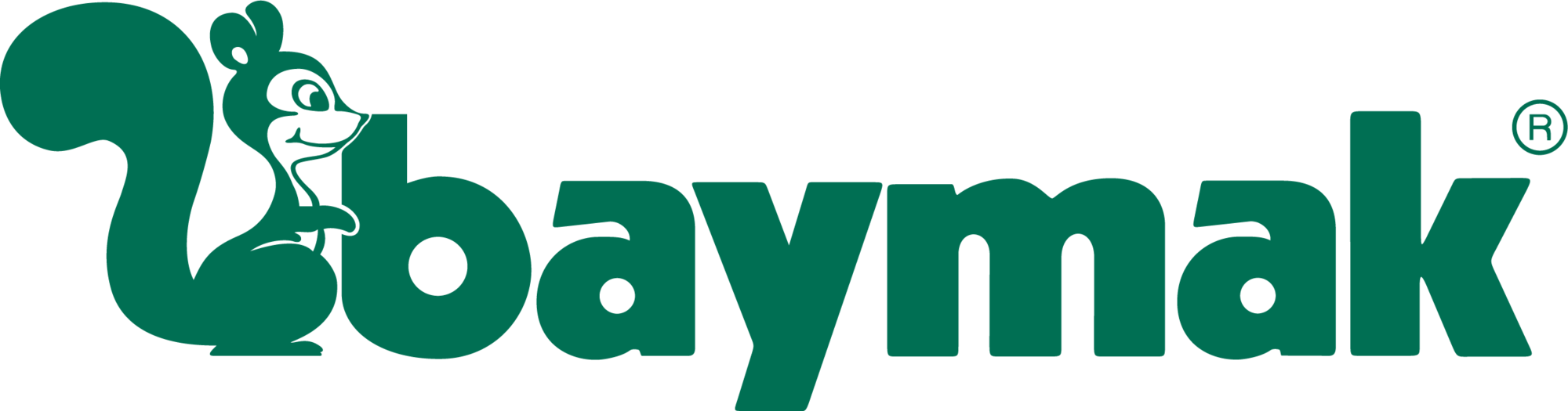 Baymak Kombi Servisi